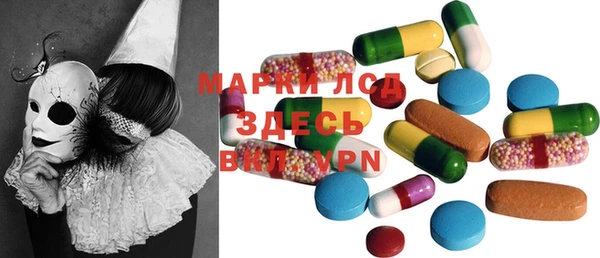 шишки Арсеньев