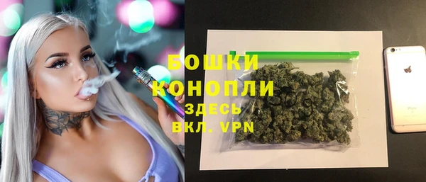 шишки Арсеньев