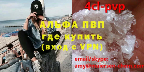 шишки Арсеньев
