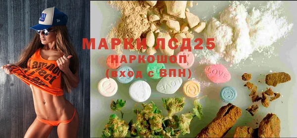 шишки Арсеньев