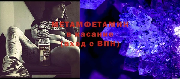 шишки Арсеньев