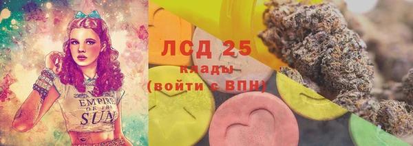 шишки Арсеньев