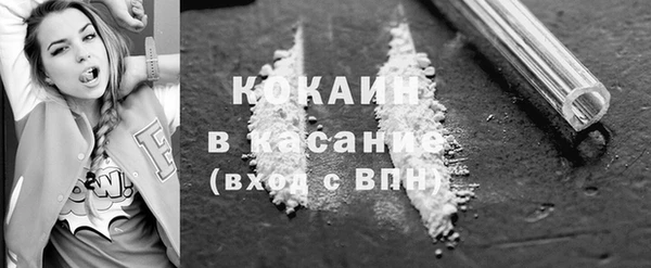 шишки Арсеньев