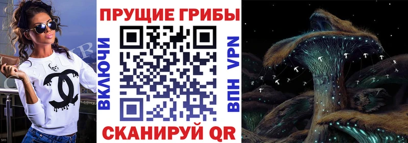 Псилоцибиновые грибы Cubensis Коммунар